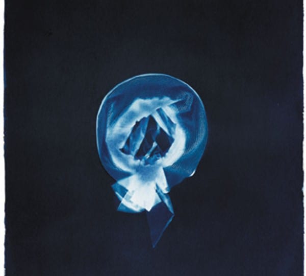 Loss at Golden Thread Gallery, Belfast