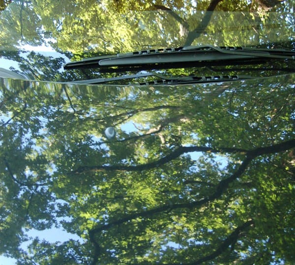 Richard Wentworth, Lisson Gallery, London