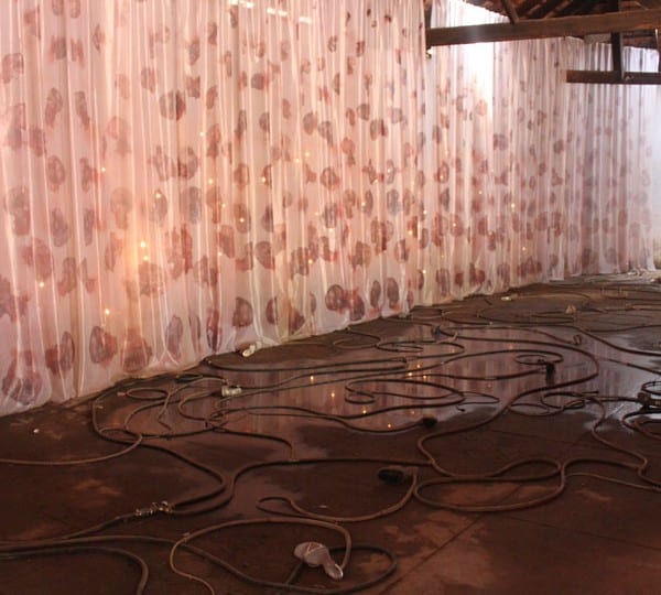 Review Of Kochi-Muziris Biennale