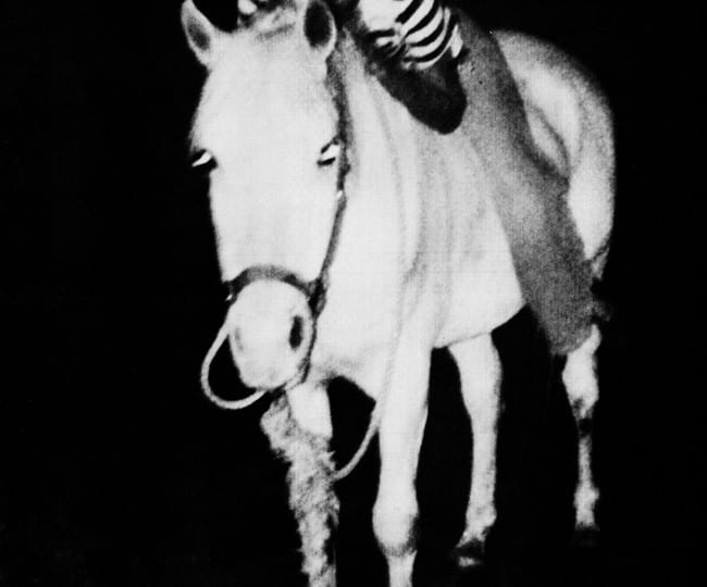 Review of Lutz Bacher: Black Beauty at the ICA, London