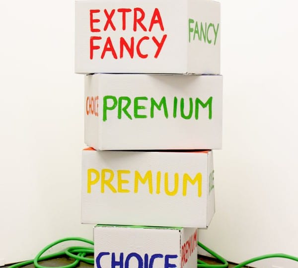 Serpentine Park Nights 2014, Serpentine Pavilion, Kensington Gardens