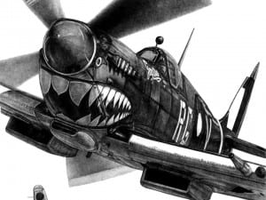 Steven J. Davies: Supermarine Spitfire Mk VIII ‘ The Grey Nurse’