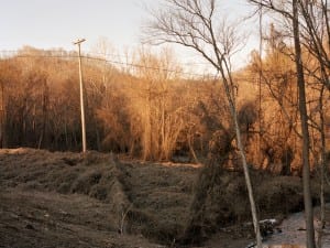 Ari Gabel, Two Creeks, 2014.