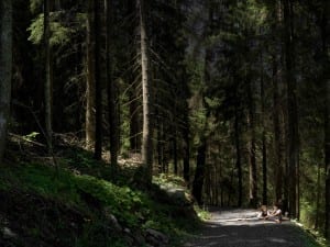 Nicolas Dhervillers, Hommage à Bourguereau II, 2013. From the Hommages series, 2012-2013.