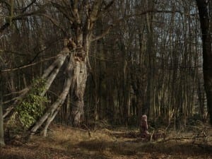 Nicolas Dhervillers, Hommage à Frank Cowper, 2012. From the Hommages series, 2012-2013.