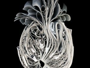 Cara Barer, Bundle, 2010.