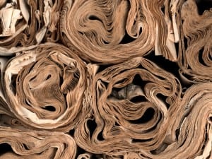 Cara Barer, Eccentric Circles, 2007.