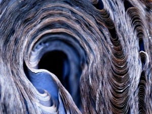 Cara Barer, Fairy Tale, 2006.