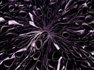 Cara Barer, Maze, 2007.