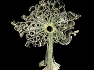 Cara Barer, The Word Tree, 2013.