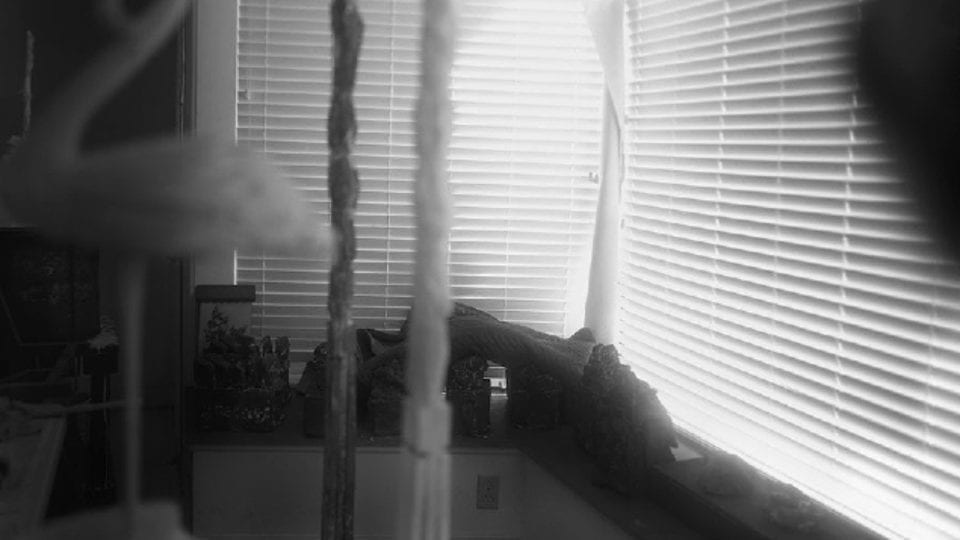 【 Sally Mann：Remembered Light】　★★未開封新品 Sally Mann, Remembered Light: Cy Twombly in Lexington @Gagosian