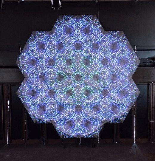 Life and Geometry