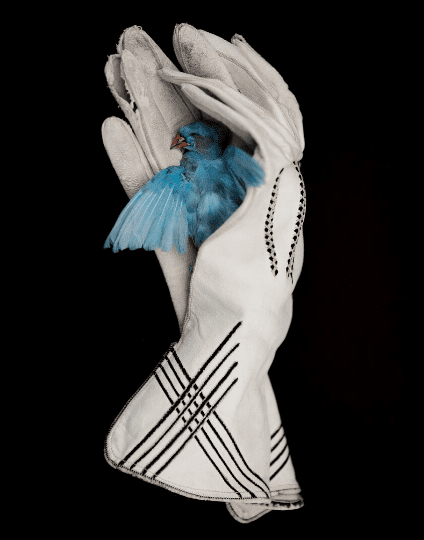 PHOTOFAIRS San Francisco