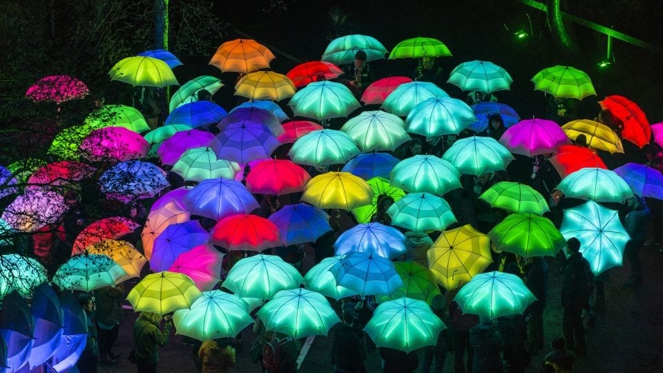 Interactive Structures