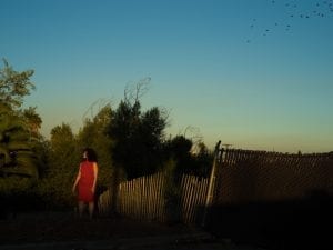 Tania Franco Klein, <i>Border Line,</i> 2016.