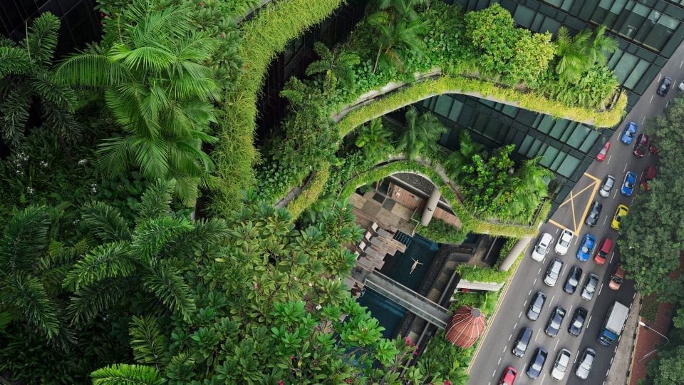 Ecological Dichotomies