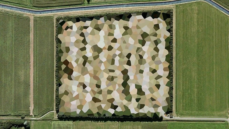 Universal Observation