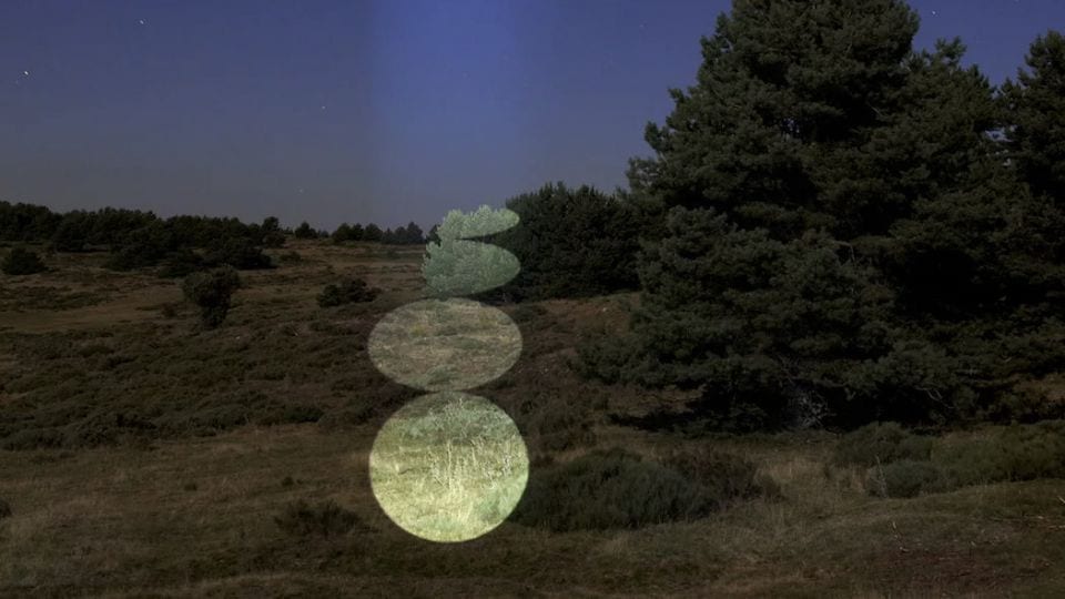 Luminescent Environments