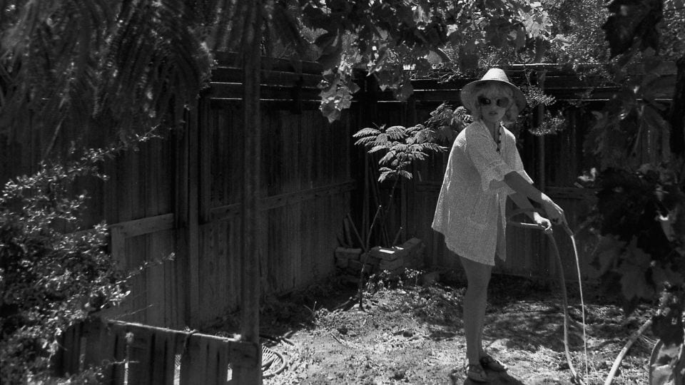 Exploring Performativity