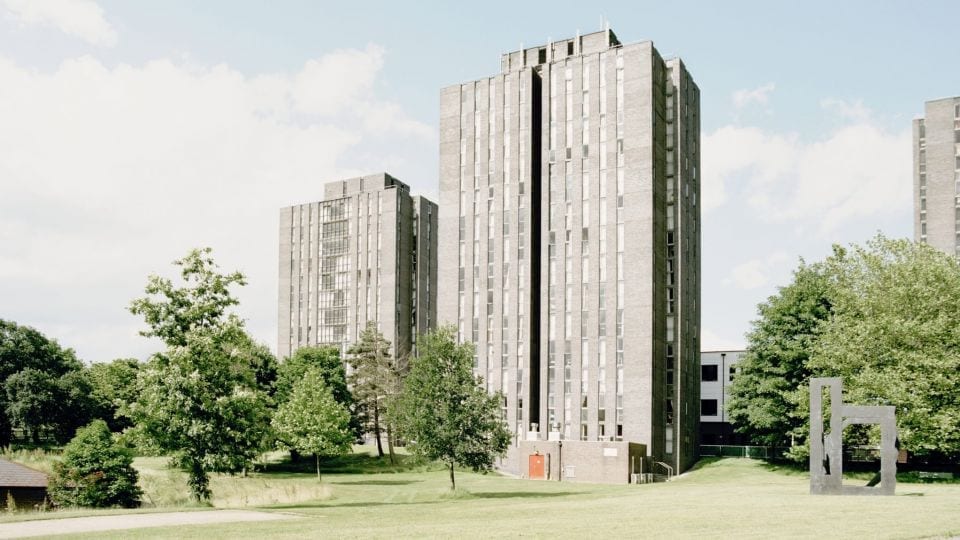 Cultural Identifiers