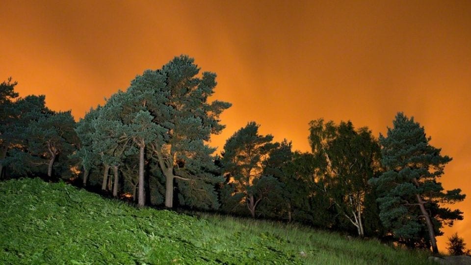 Surreal Topographies