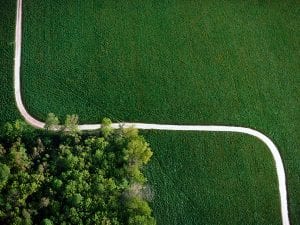 <I>White Road and Trees, Adams, MA</I>, 1987. Ref. #: LS_2659_27. © Alex MacLean.