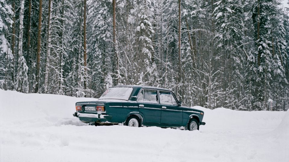 Ecological Relationships