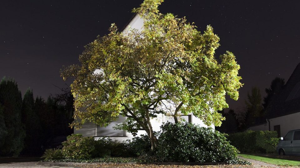 Contemporary Perspectives