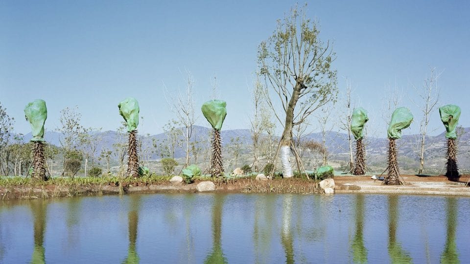 Sony World Photography Awards: Winners Announced