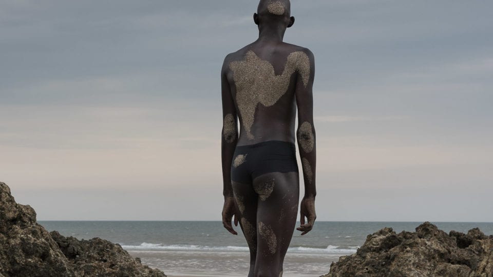 Evanescent Portraits