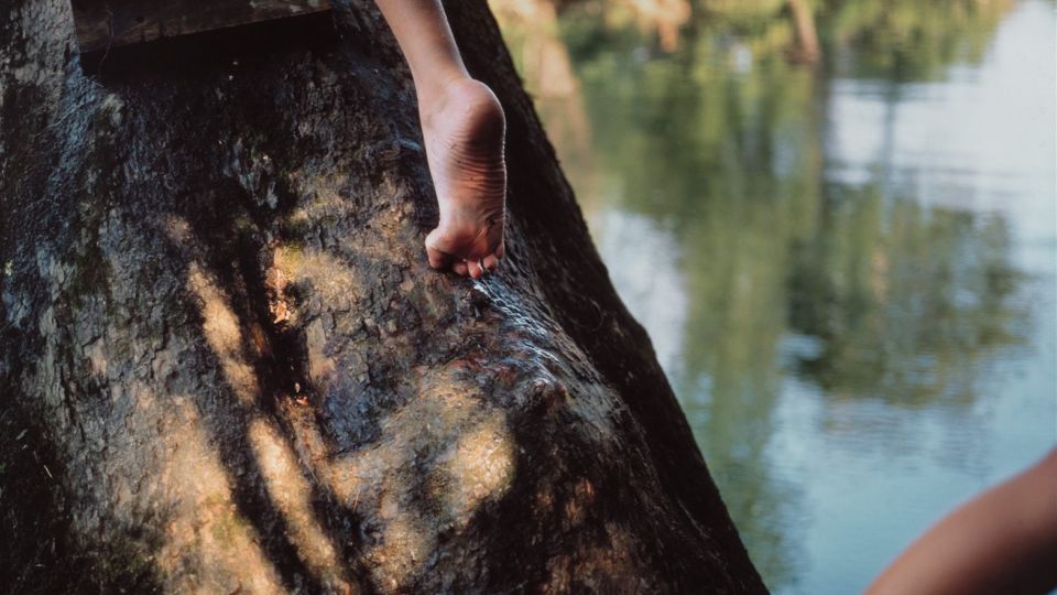 An Evocative Landscape