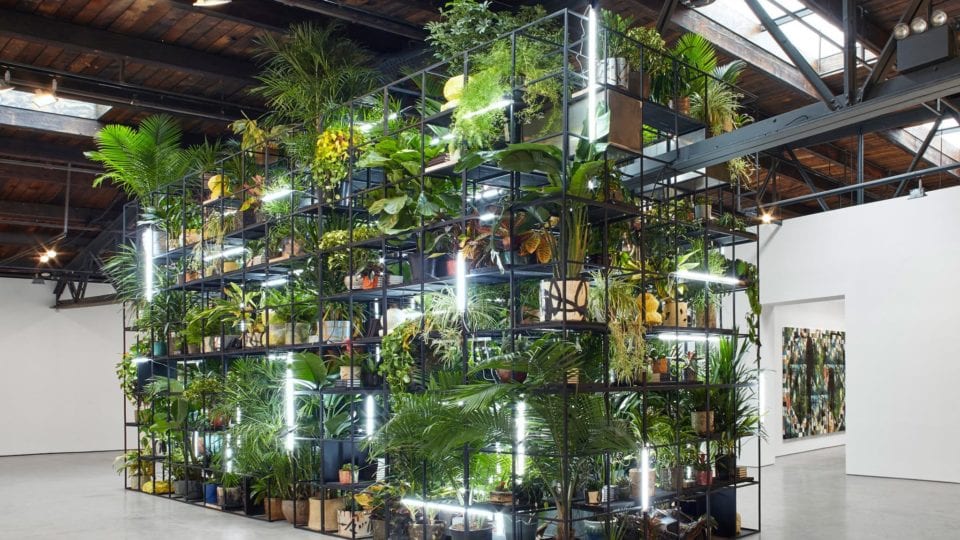 Anthropological Programming