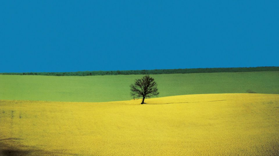 5 to See: This Weekend