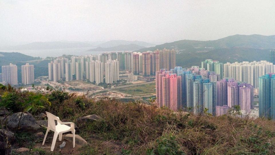 Life in the Metropolis