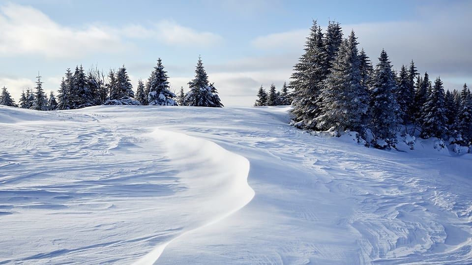 Christmas Gift Guide 2019