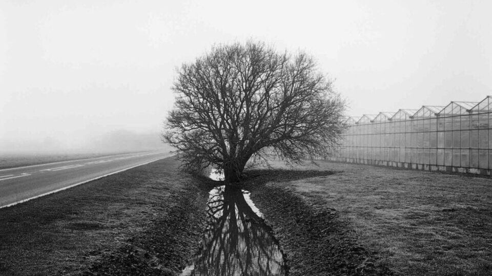 Humanity and the Land