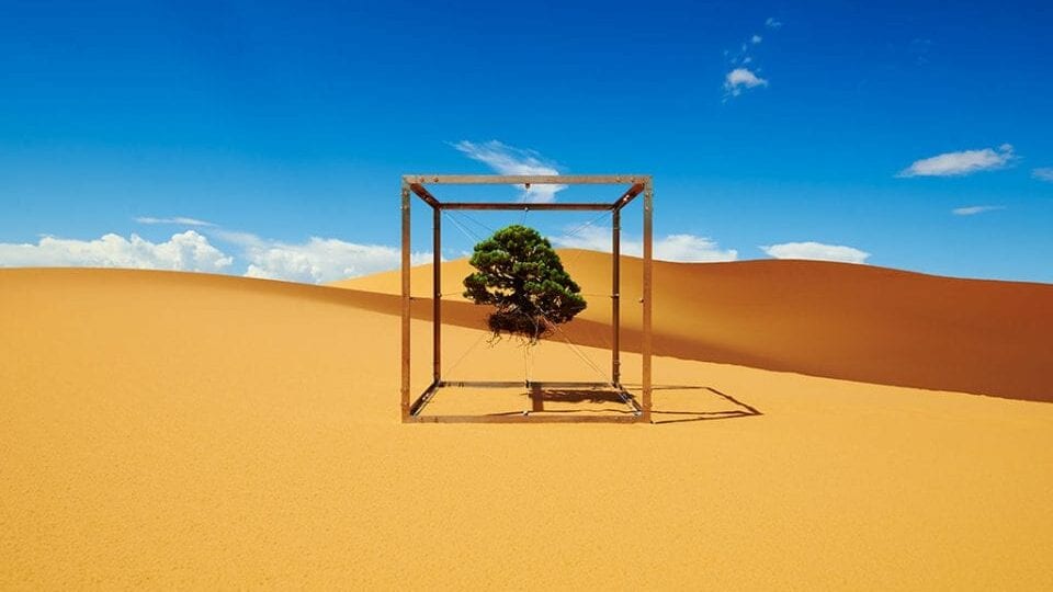 Botanical Inspiration