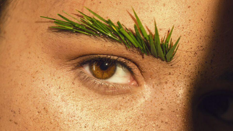 Physical Intervention