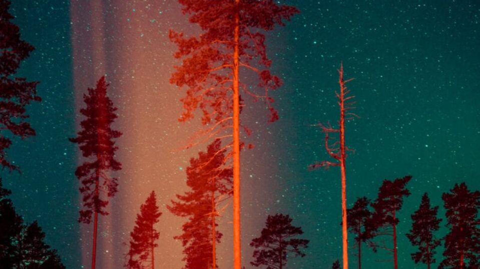 Aesthetica Magazine - Lights in the Sky - Vimarsana News