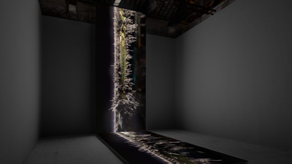 Aesthetica Magazine - Pavilions of Change:<br>Venice Biennale 2022 - Vimarsana News