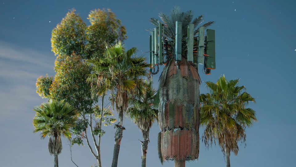 Aesthetica Magazine - Synthetic Nature - Vimarsana News
