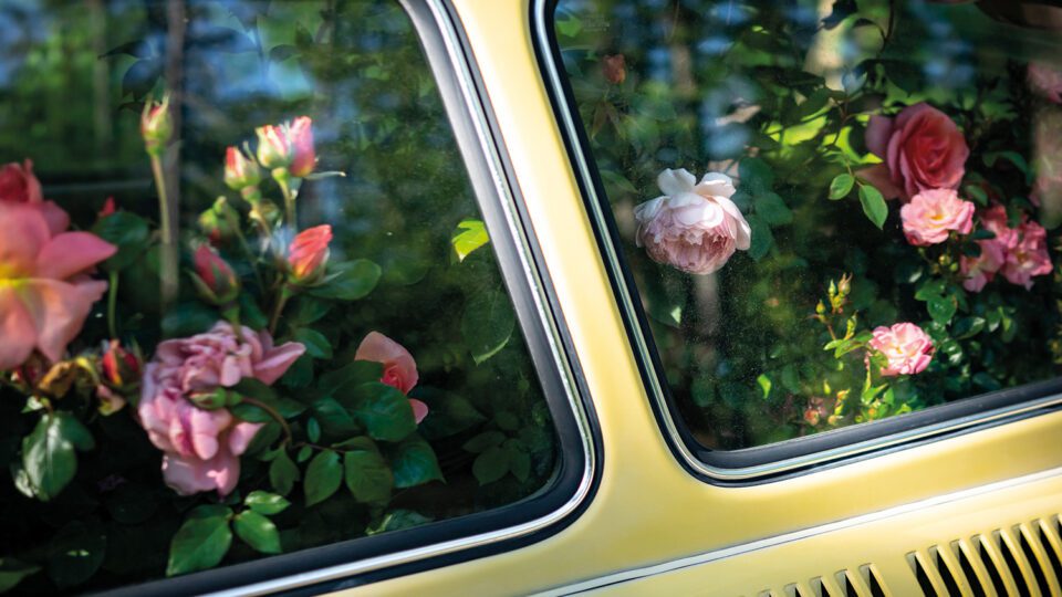 Aesthetica Magazine - A Touch of Magic - Vimarsana News