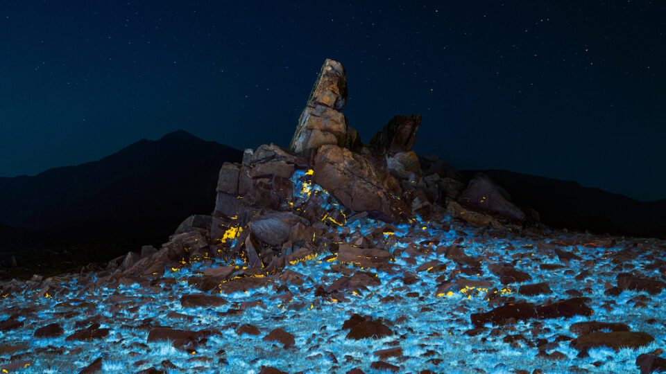 Aesthetica Magazine - Hidden Luminescence