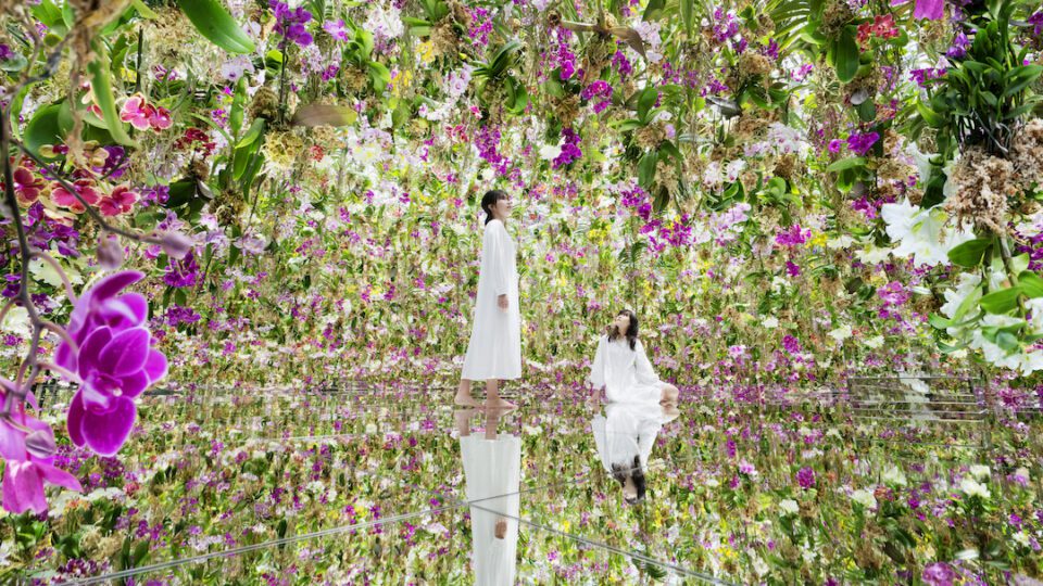 Aesthetica Magazine - teamLab Planets:<br>A Sense of Connection - Vimarsana News