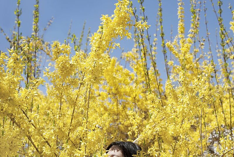 Aesthetica Magazine - Summer Memories - Vimarsana News