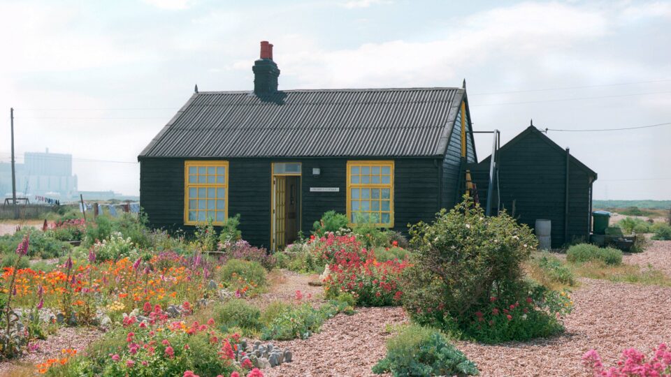 Aesthetica Magazine - Responsible Gardening - Vimarsana News