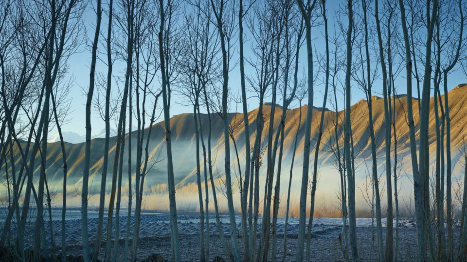 Aesthetica Magazine - Seasons of Change - Vimarsana News
