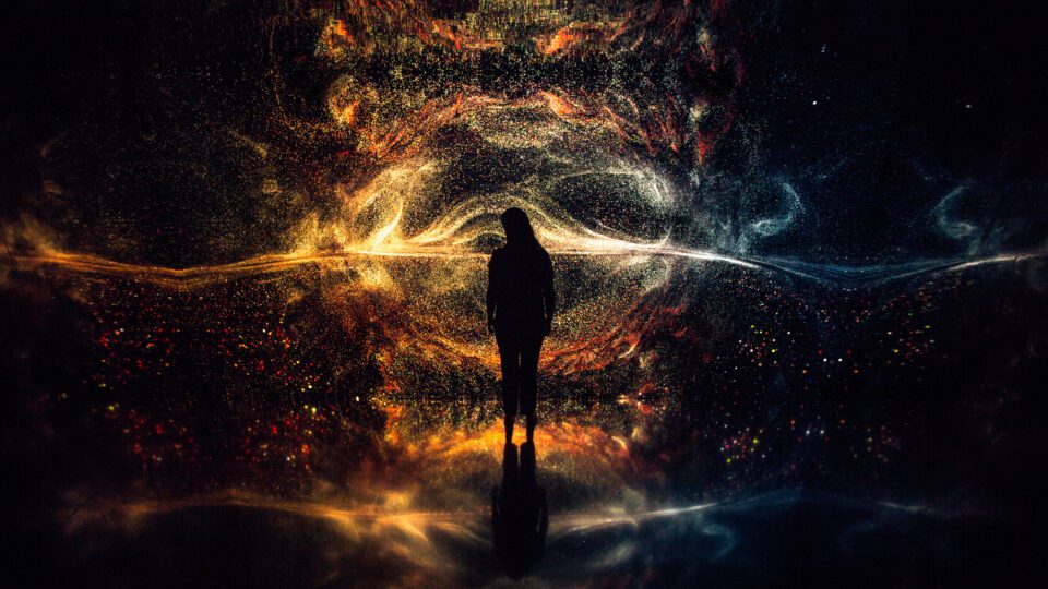 Aesthetica Magazine - Exploring Nature with Marshmallow Laser Feast - Vimarsana News