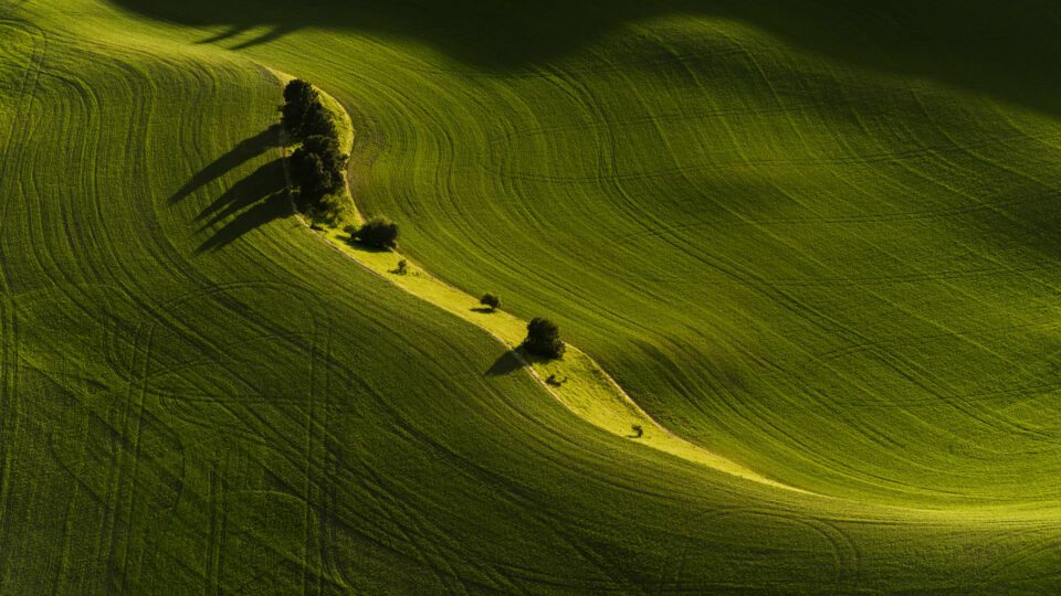 Aesthetica Magazine - Pictures from Above - Vimarsana News