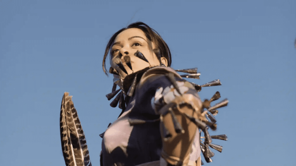 Identity and Survival